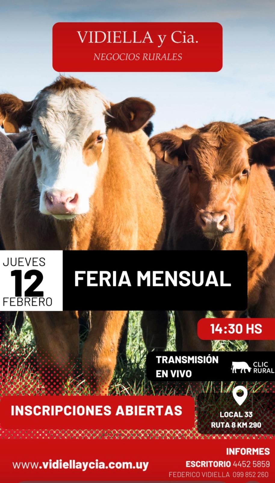 Feria mensual - Vidiella y Cia