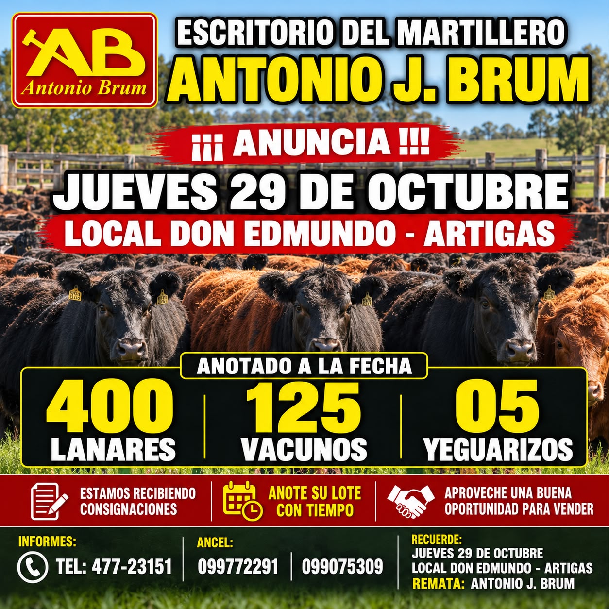 Afiche Feria mensual - Antonio J Brum