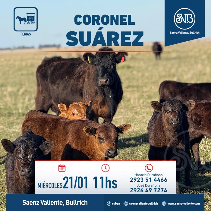 Feria en Cnel. Suárez