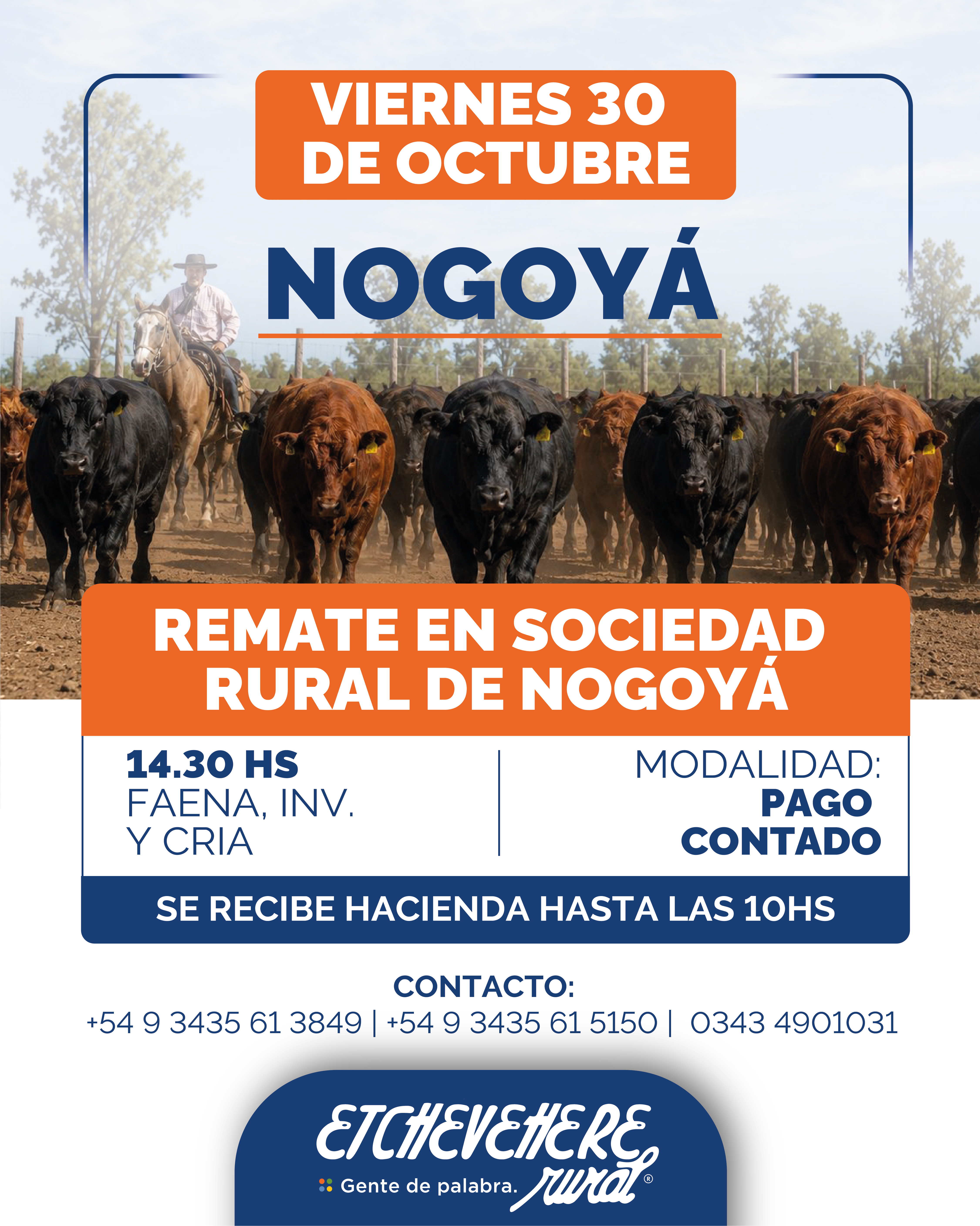 Afiche Remate Nogoya
