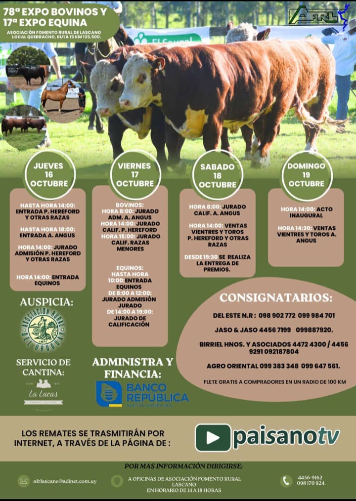 Afiche 78º Expo Bovina y 17º Expo Equina