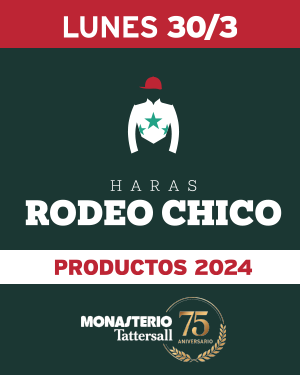 Afiche Haras Rodeo Chico