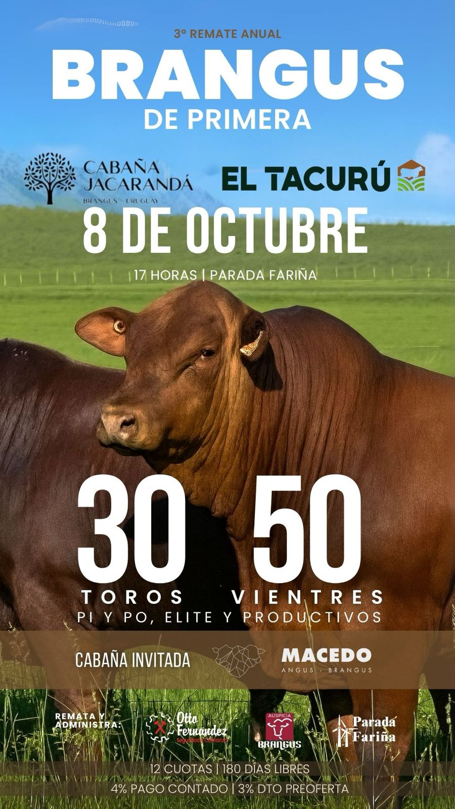 Afiche 3º Brangus de Primera