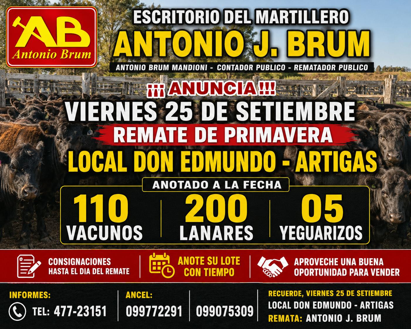 Afiche Remate de Primavera