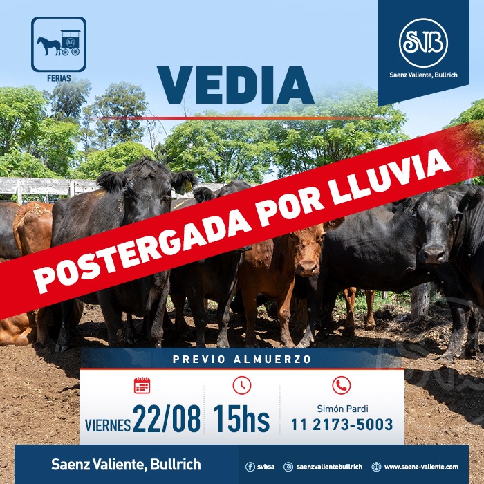 Feria en Vedia