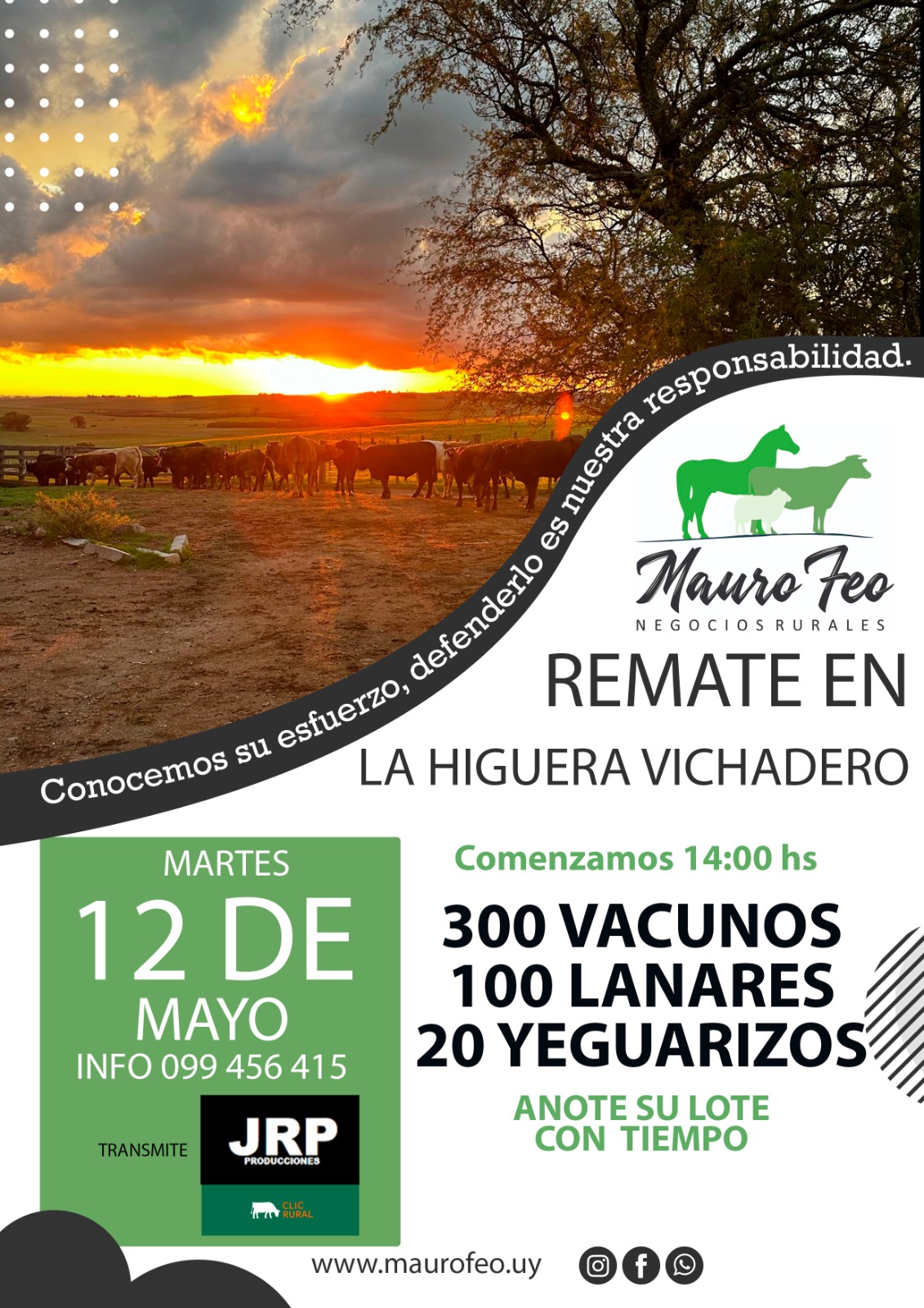 Remate Feria mensual - Mauro Feo