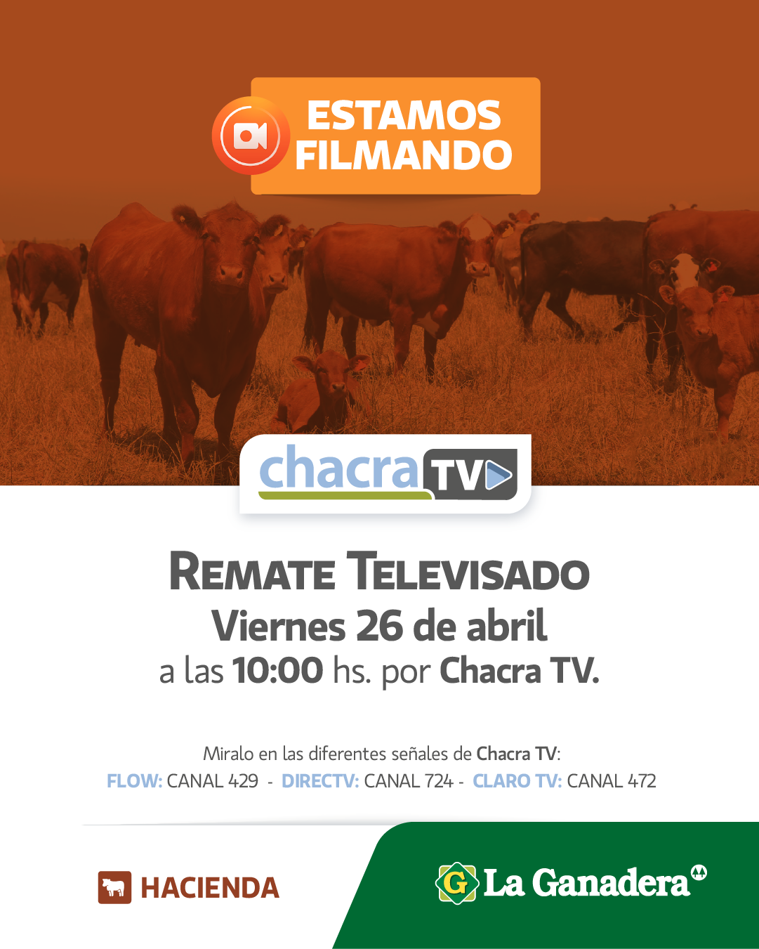 Afiche REMATE TELEVISADO N°62 POR CHACRA TV