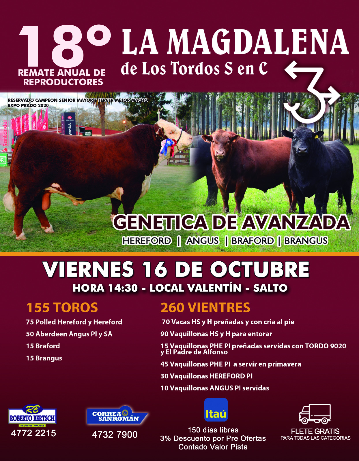 Afiche La Magdalena Los Tordos S. en C.