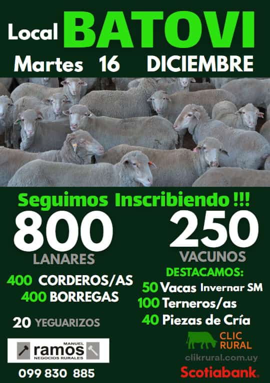 Feria Mensual - Local Batovi