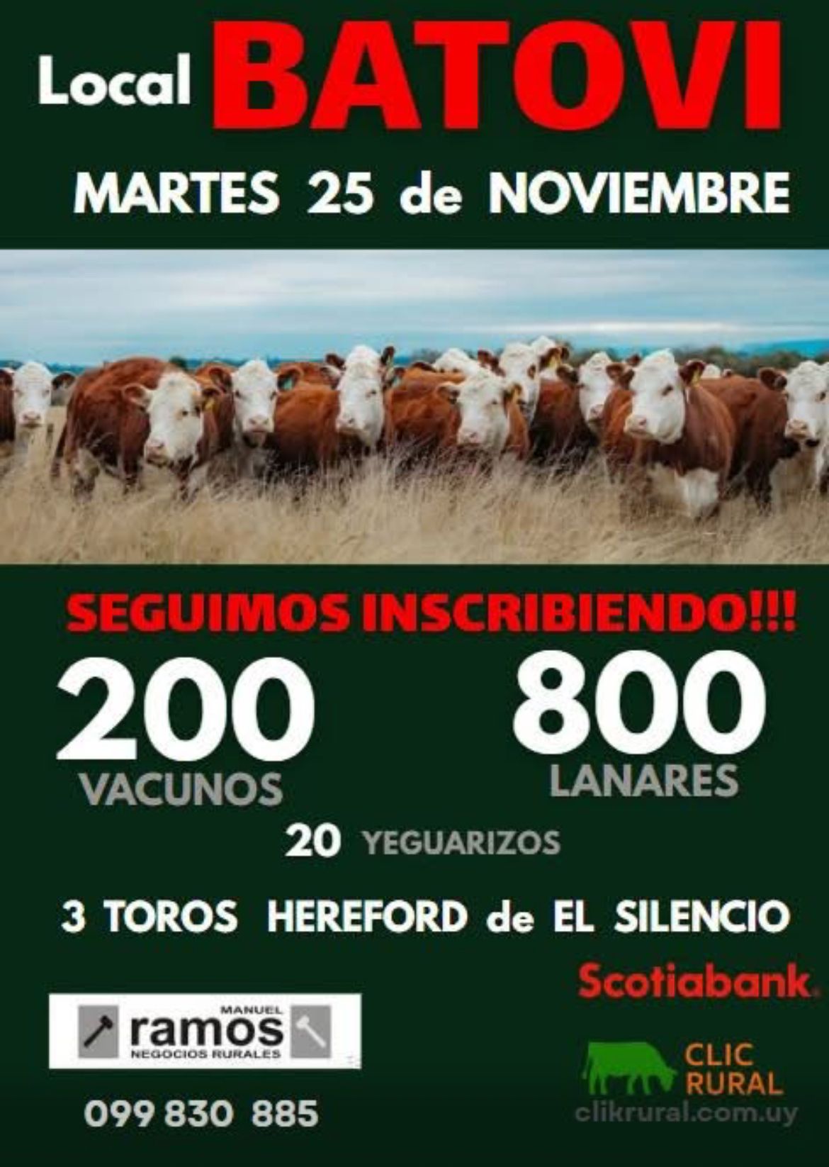 Remate Feria Mensual - Local Batovi