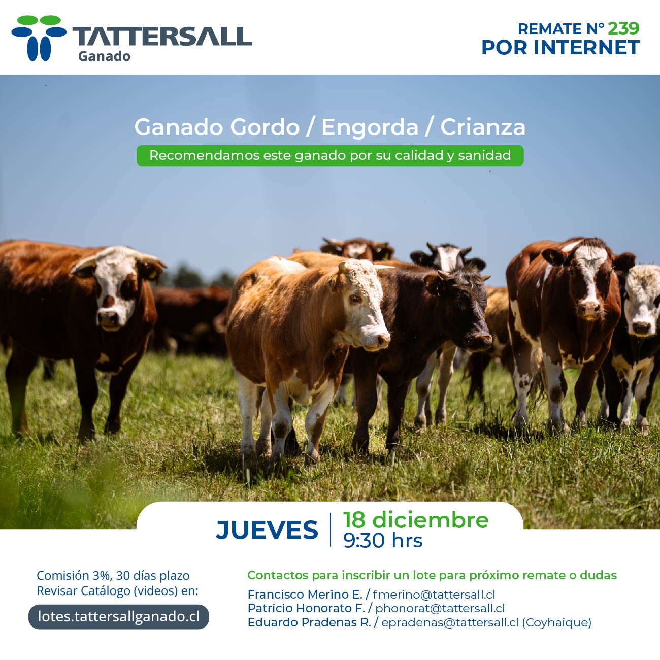 18 de Diciembre Ganado Crianza y Engorda