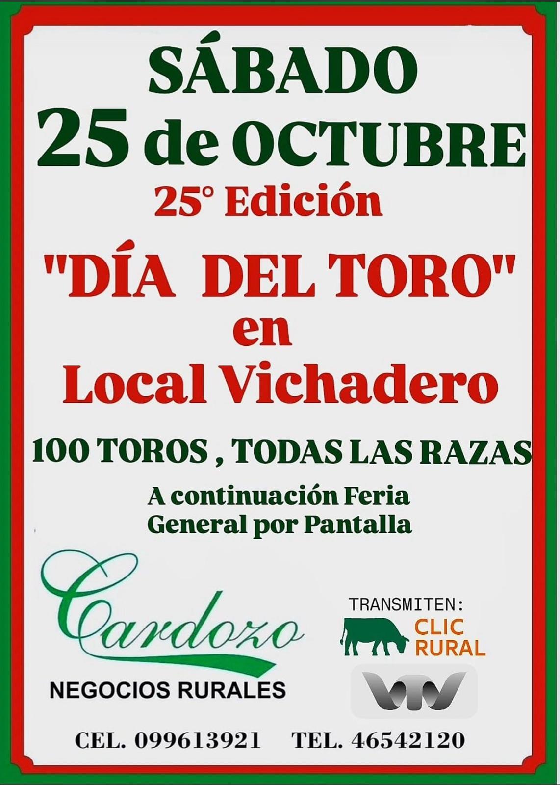Remate Dia del Toro