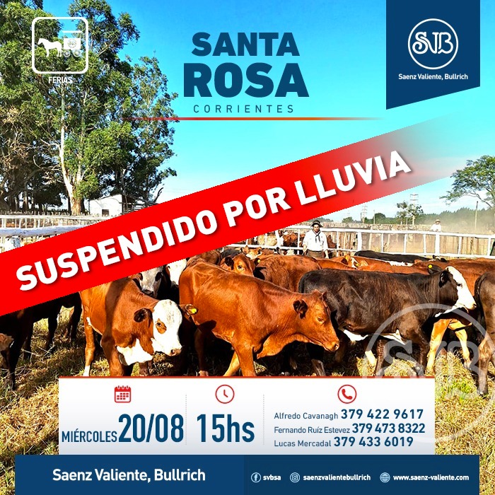 Feria en Santa Rosa