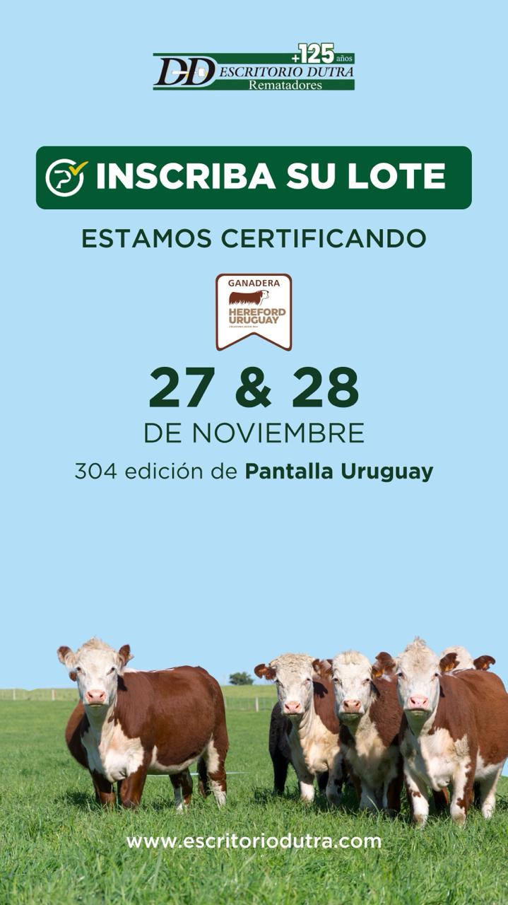 304º remate Pantalla Uruguay