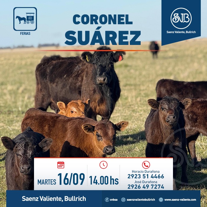 Remate Feria en Cnel. Suarez