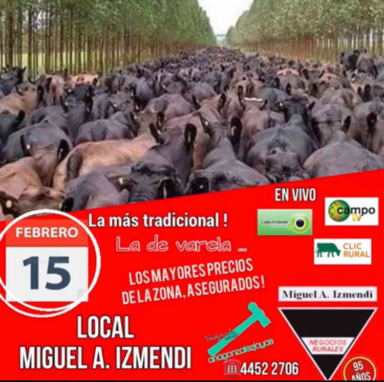 Afiche 
