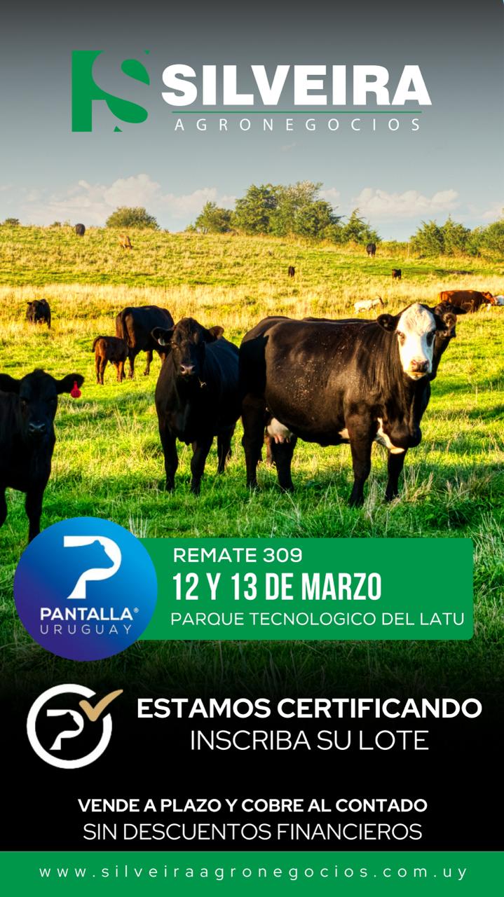 309º remate Pantalla Uruguay