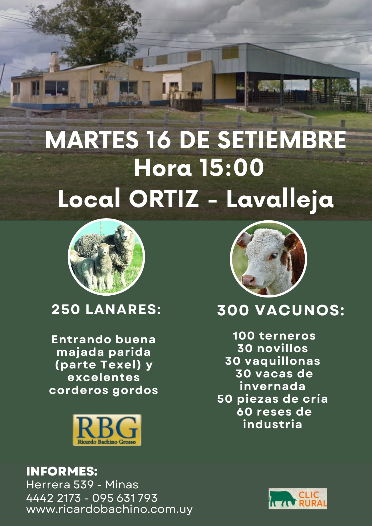 Afiche Feria mensual - Ricardo Bachino