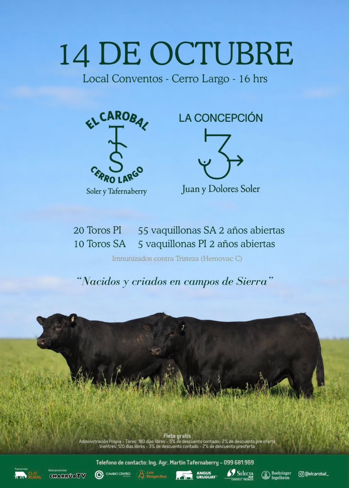 Remate La Concepcion, El Carobal, Los Olivos y La Tribu