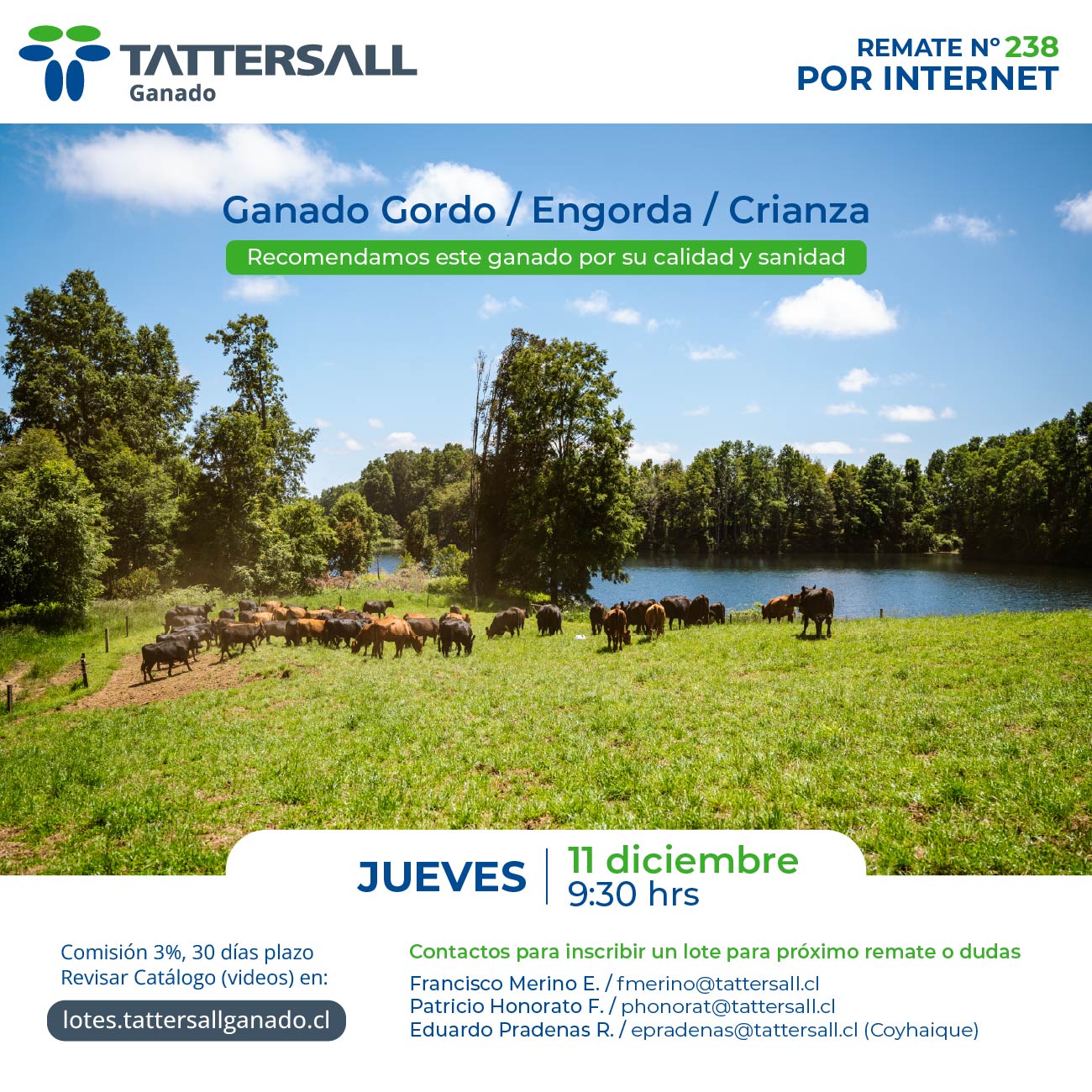 11 de Diciembre Ganado Crianza y Engorda