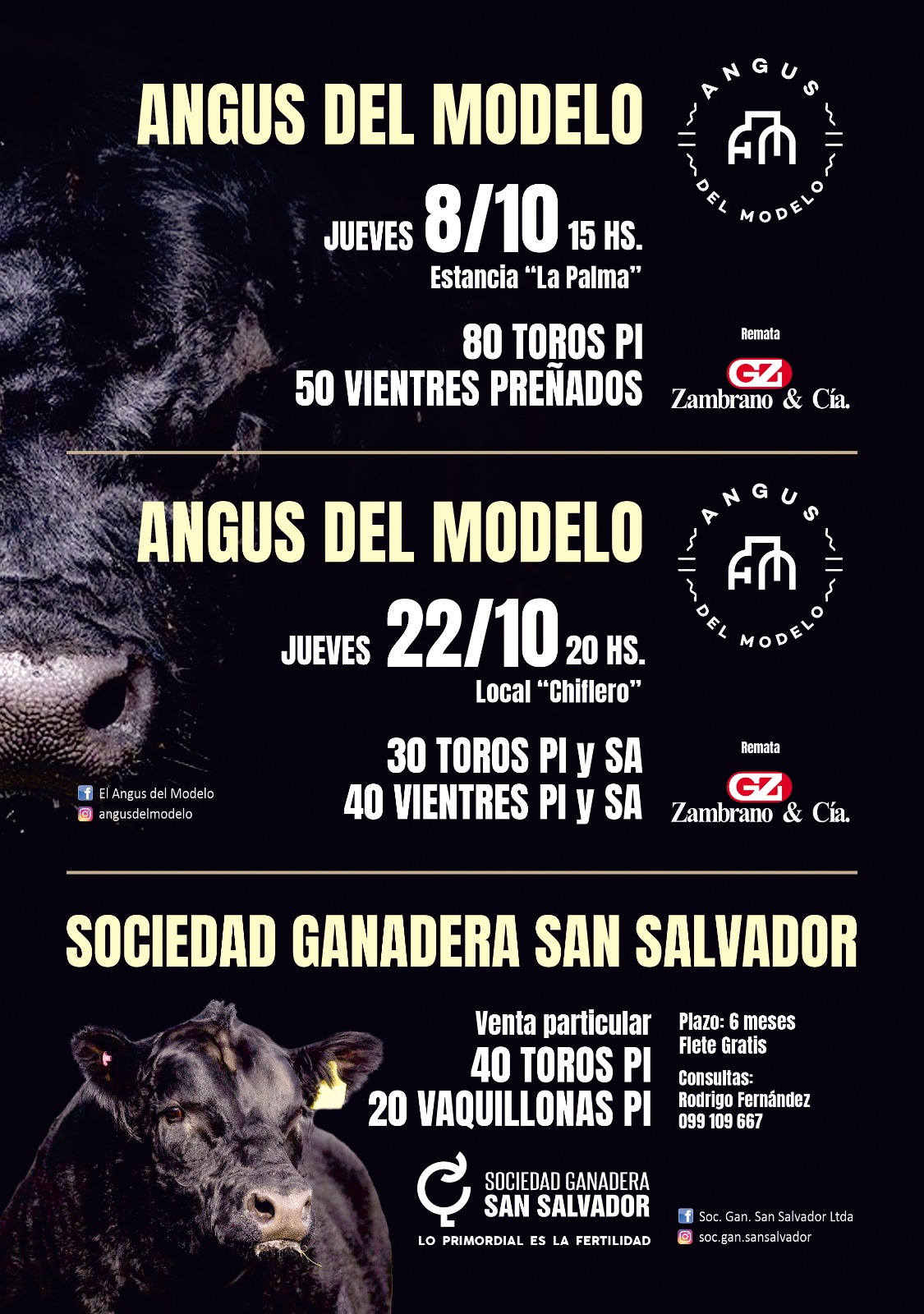 Angus del Modelo