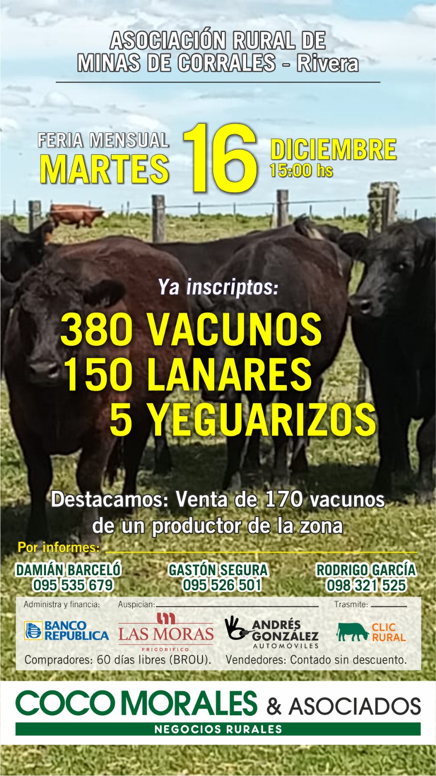 Afiche Feria Mensual - Coco Morales