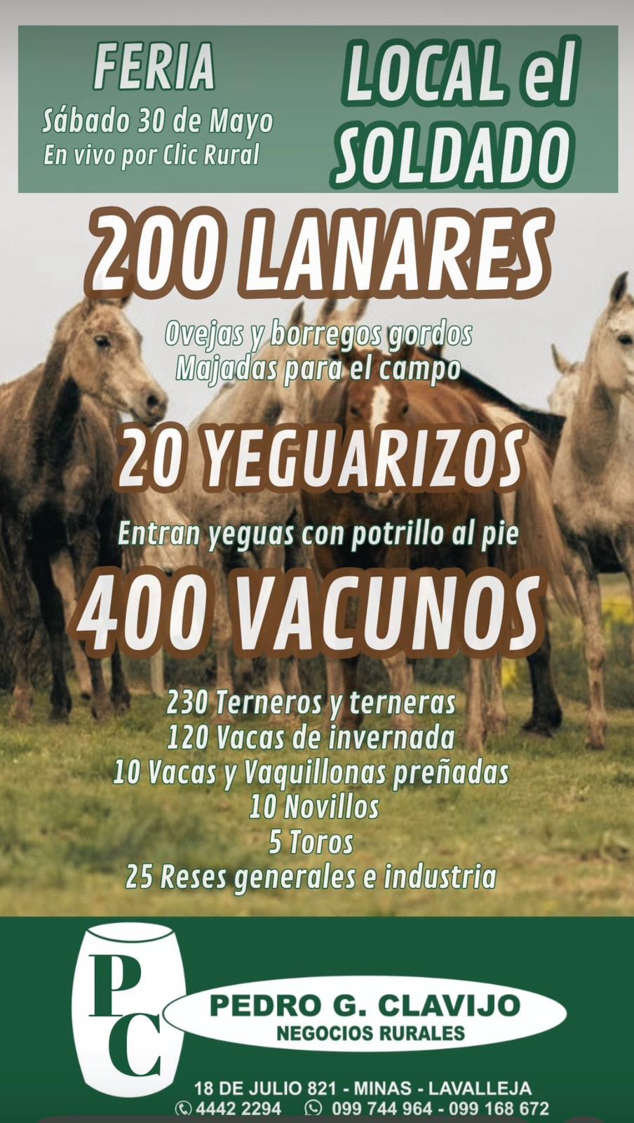 Feria Mensual - Local El Soldado