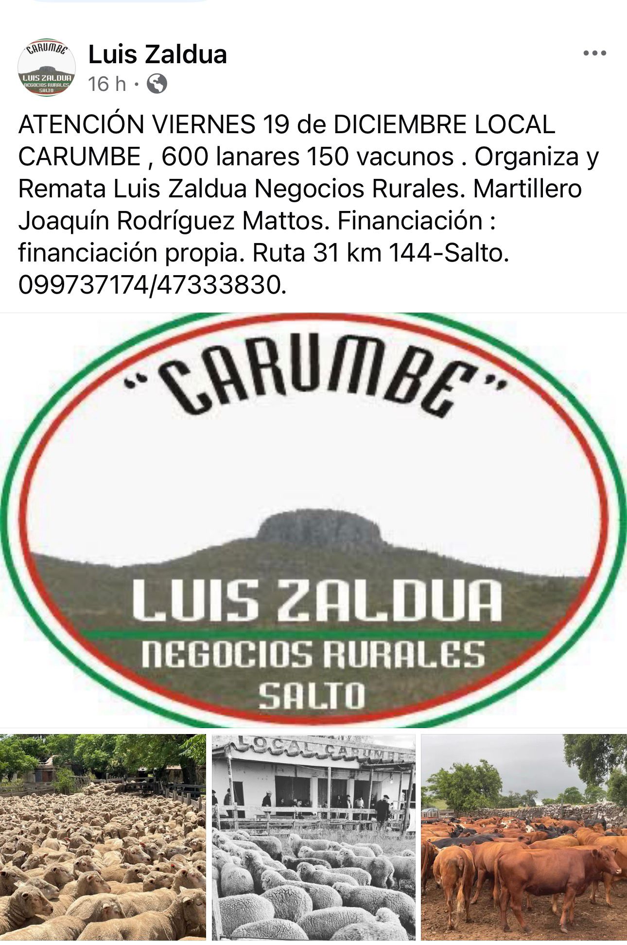 Remate Feria Mensual - Luis Zaldua