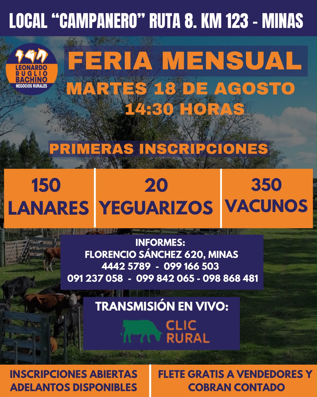 Remate Feria mensual - Leonardo Ruglio Bachino