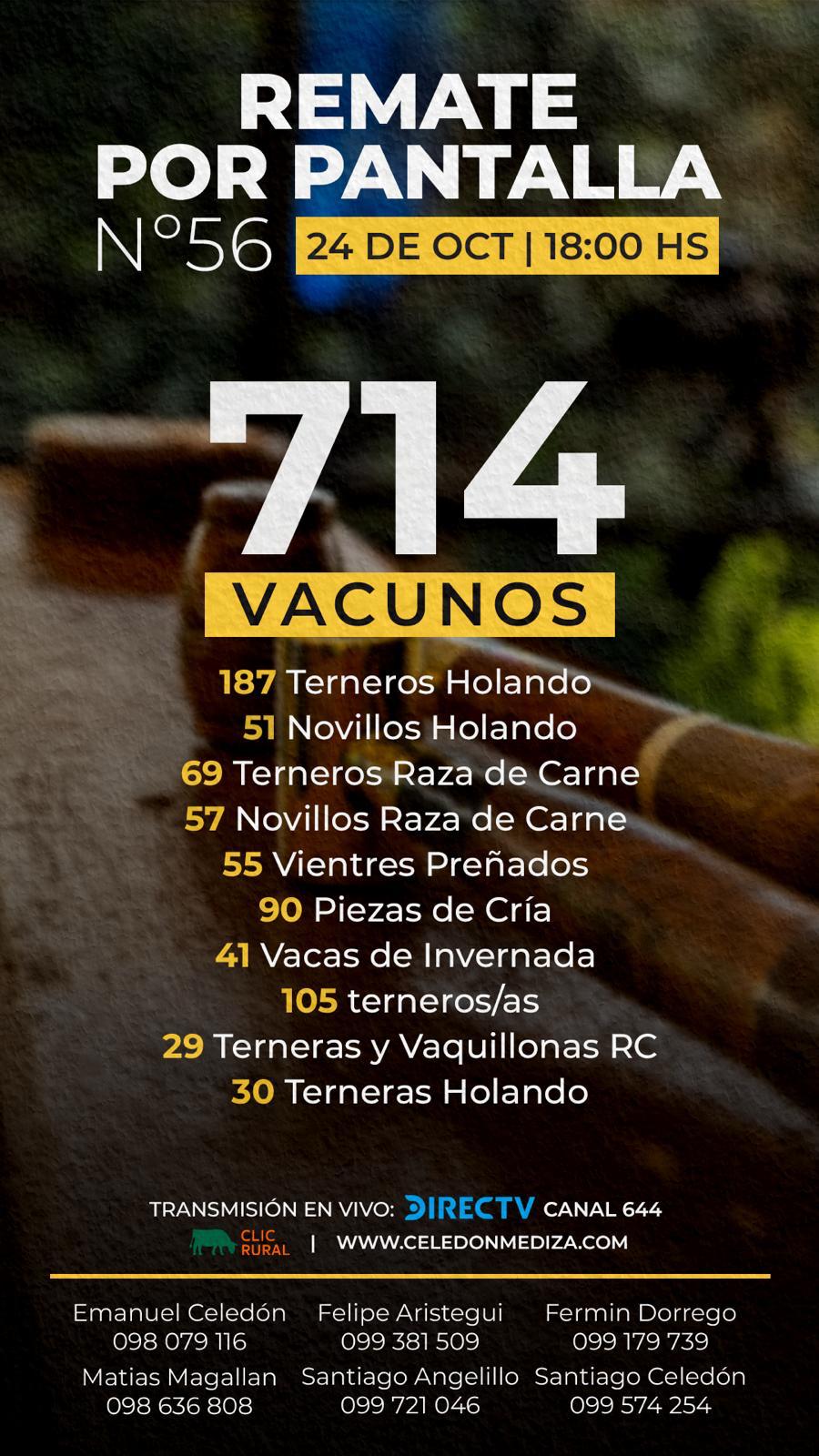 Remate 56º Remate por Pantalla