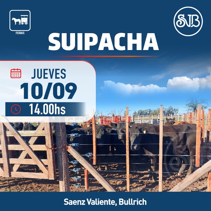 Afiche Feria en Suipacha