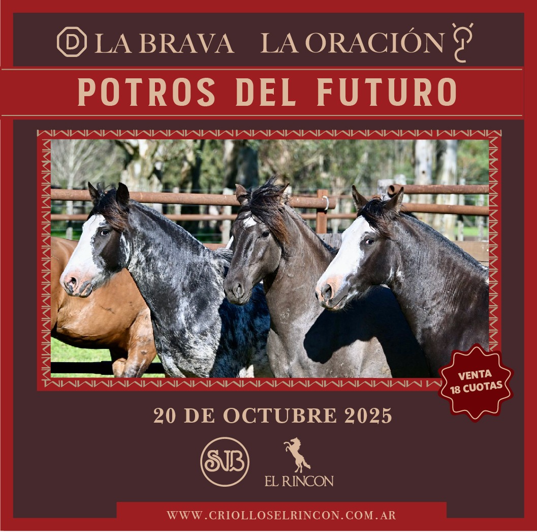 Potros Del Futuro