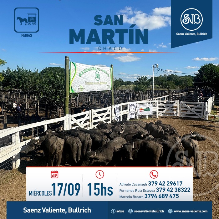 Afiche Feria en San Martín