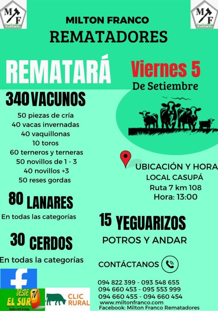Afiche Feria Mensual - Milton Franco