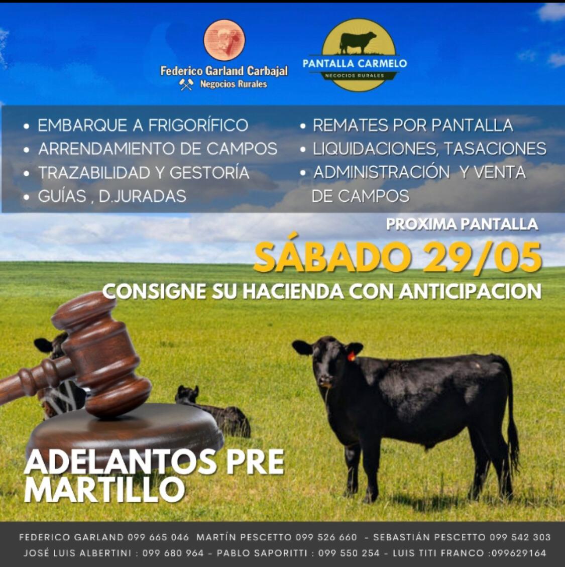 Afiche PANTALLA CARMELO