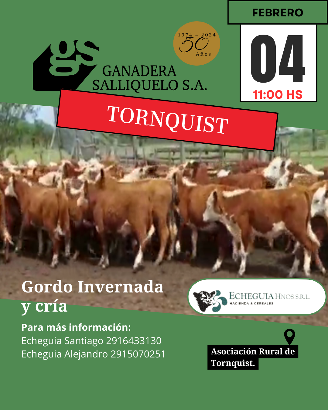 Remate Gordo, Invernada y Cría