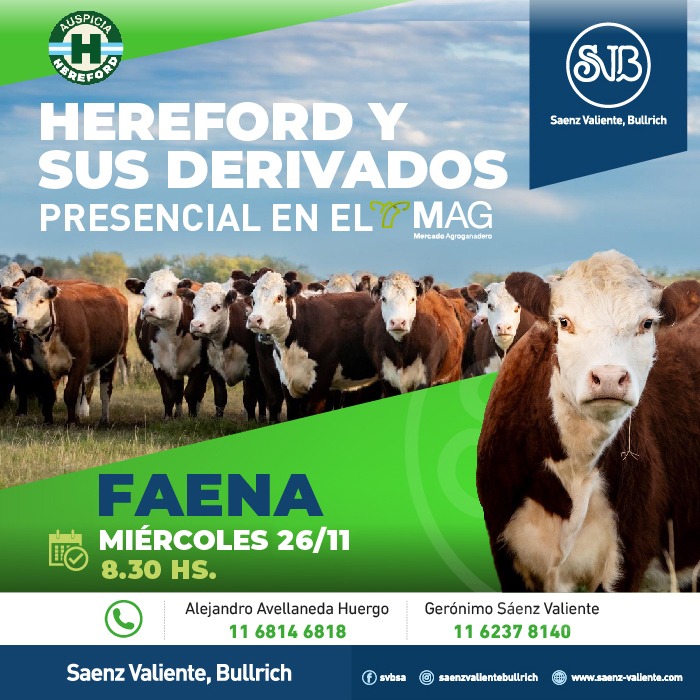 Hereford y sus derivados