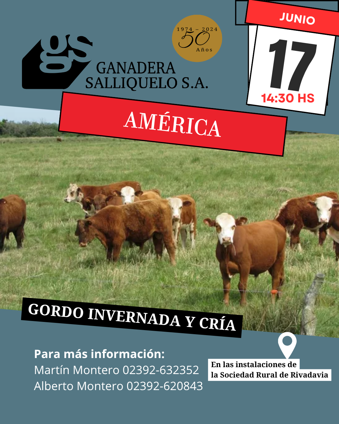 Afiche Remate Gordo, Invernada y Cría en América