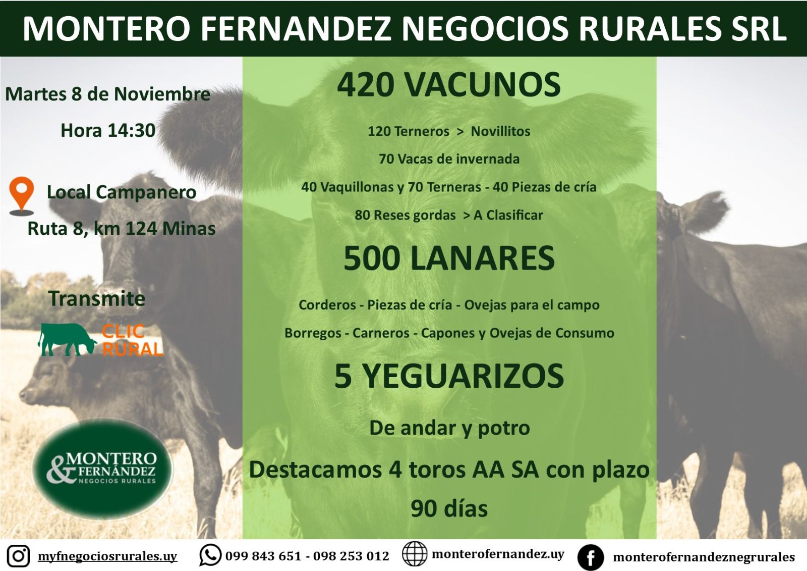 Afiche Feria Mensual Montero Fernandez