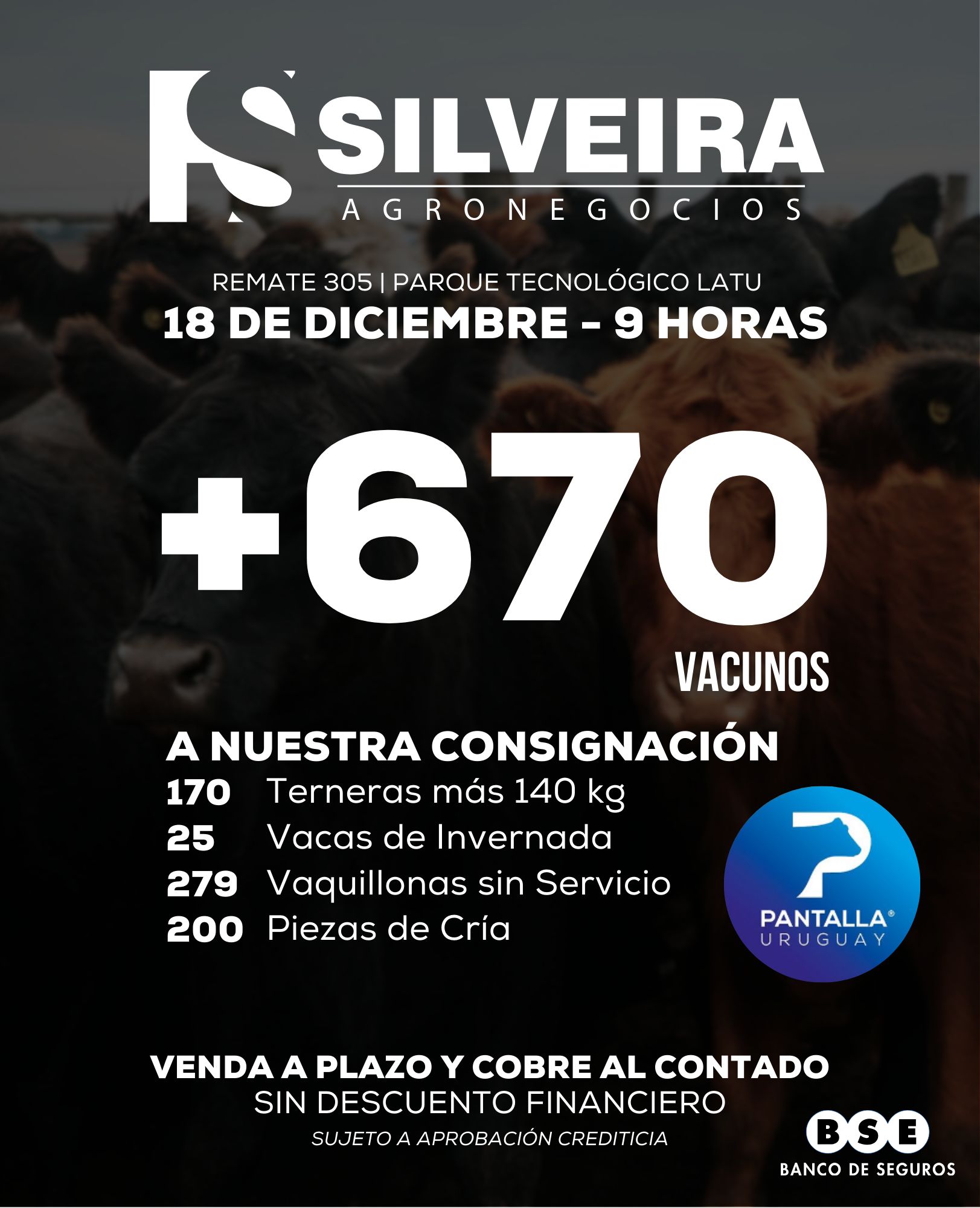 305º remate Pantalla Uruguay