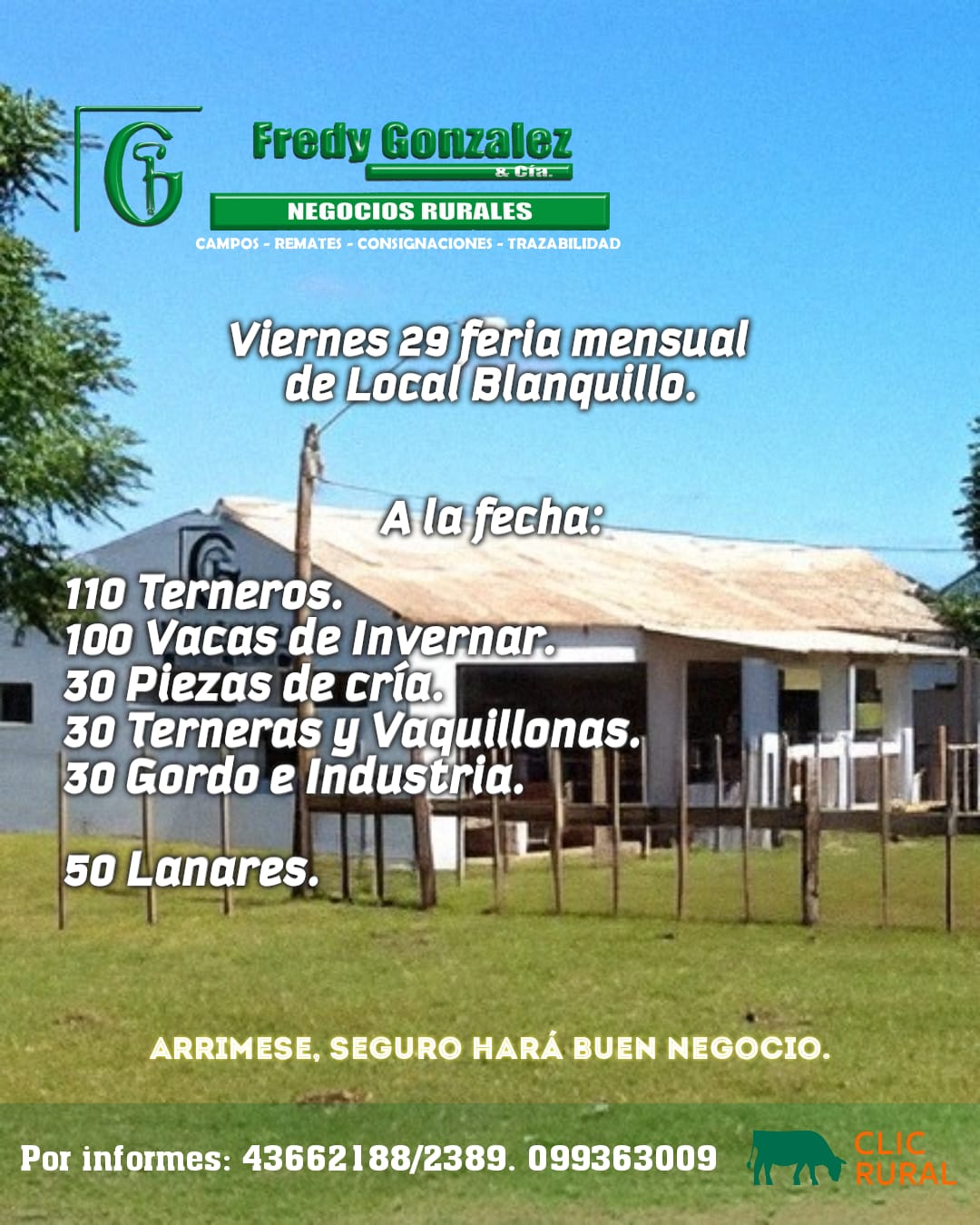 Feria Mensual - Fredy Gonzalez