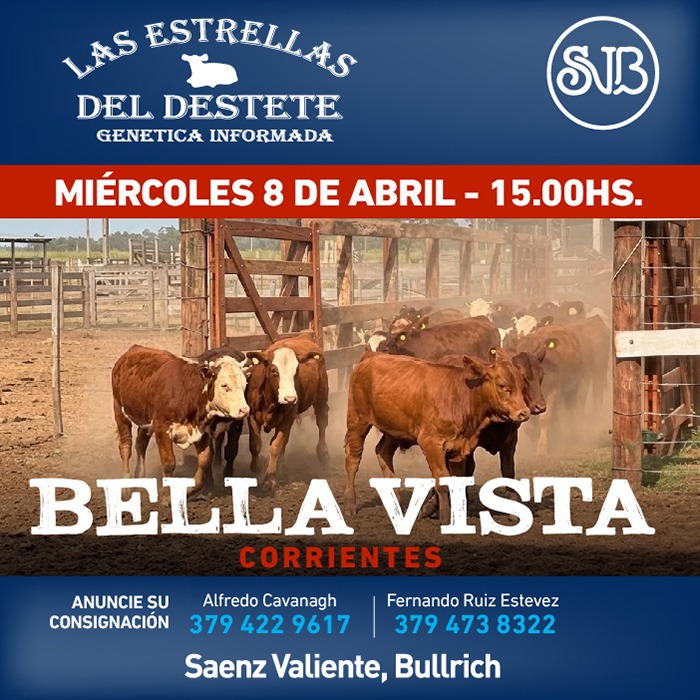 Las Estrellas del Destete - Bella Vista (Corrientes)