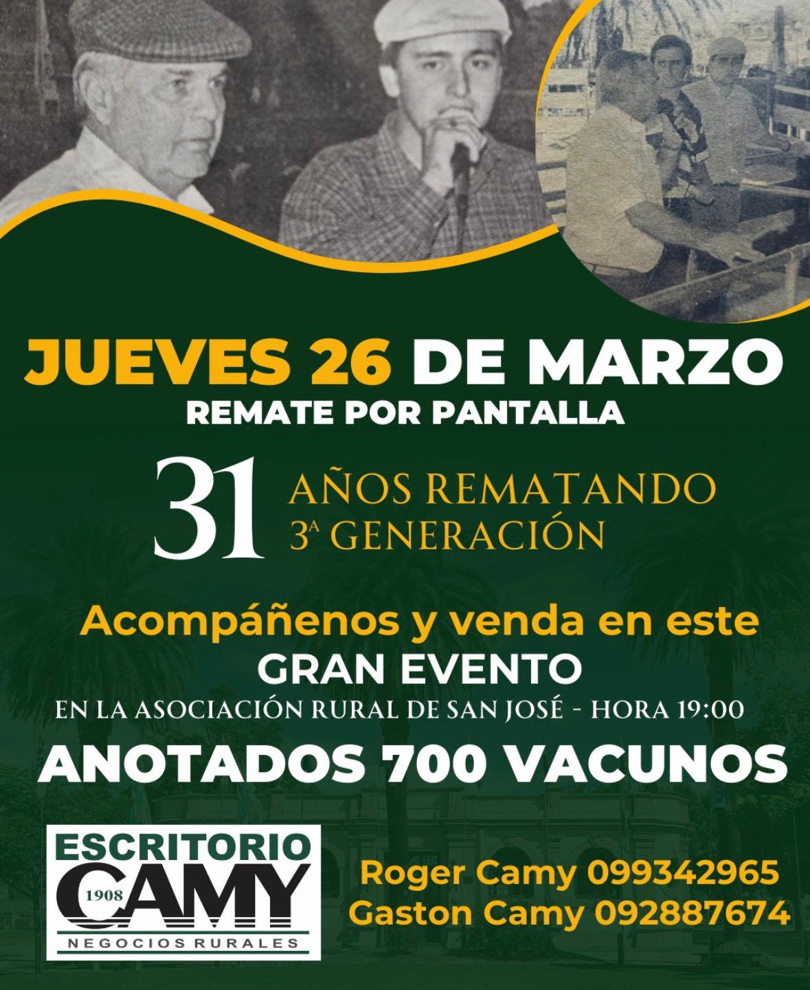 Remate Pantalla Camy - Aniversario 31 Años