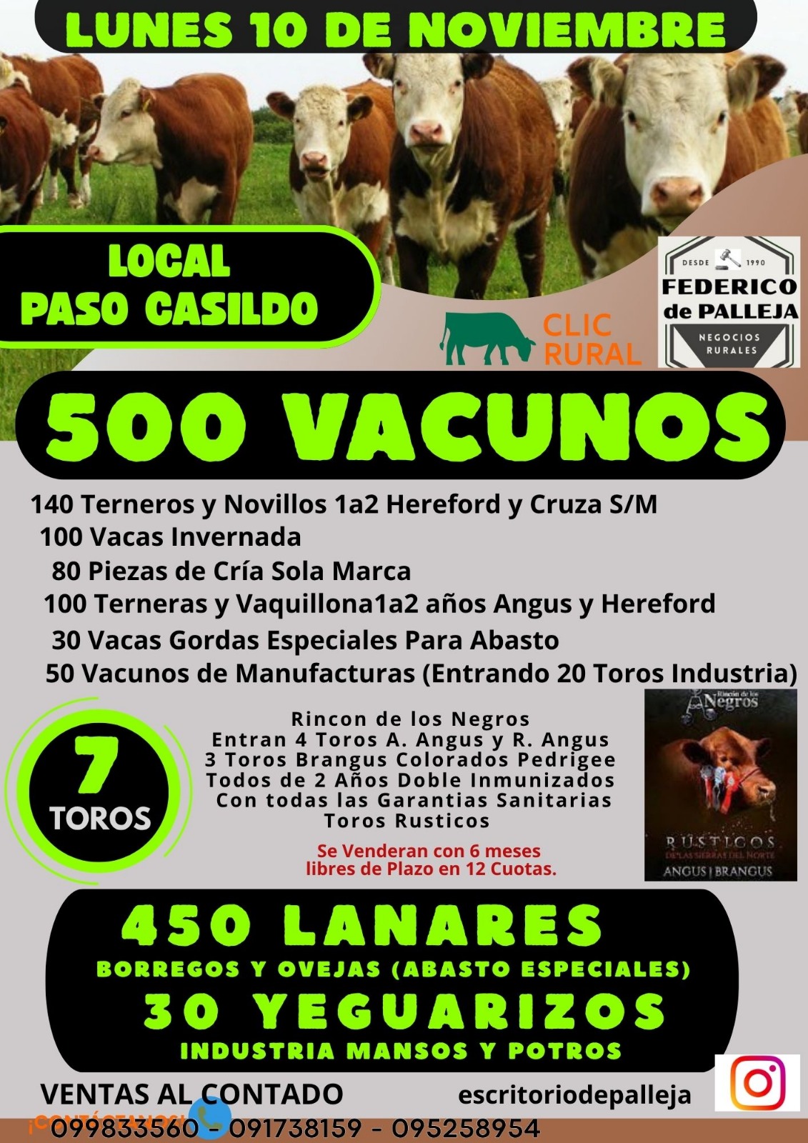 Remate Feria Mensual - Federico de Palleja