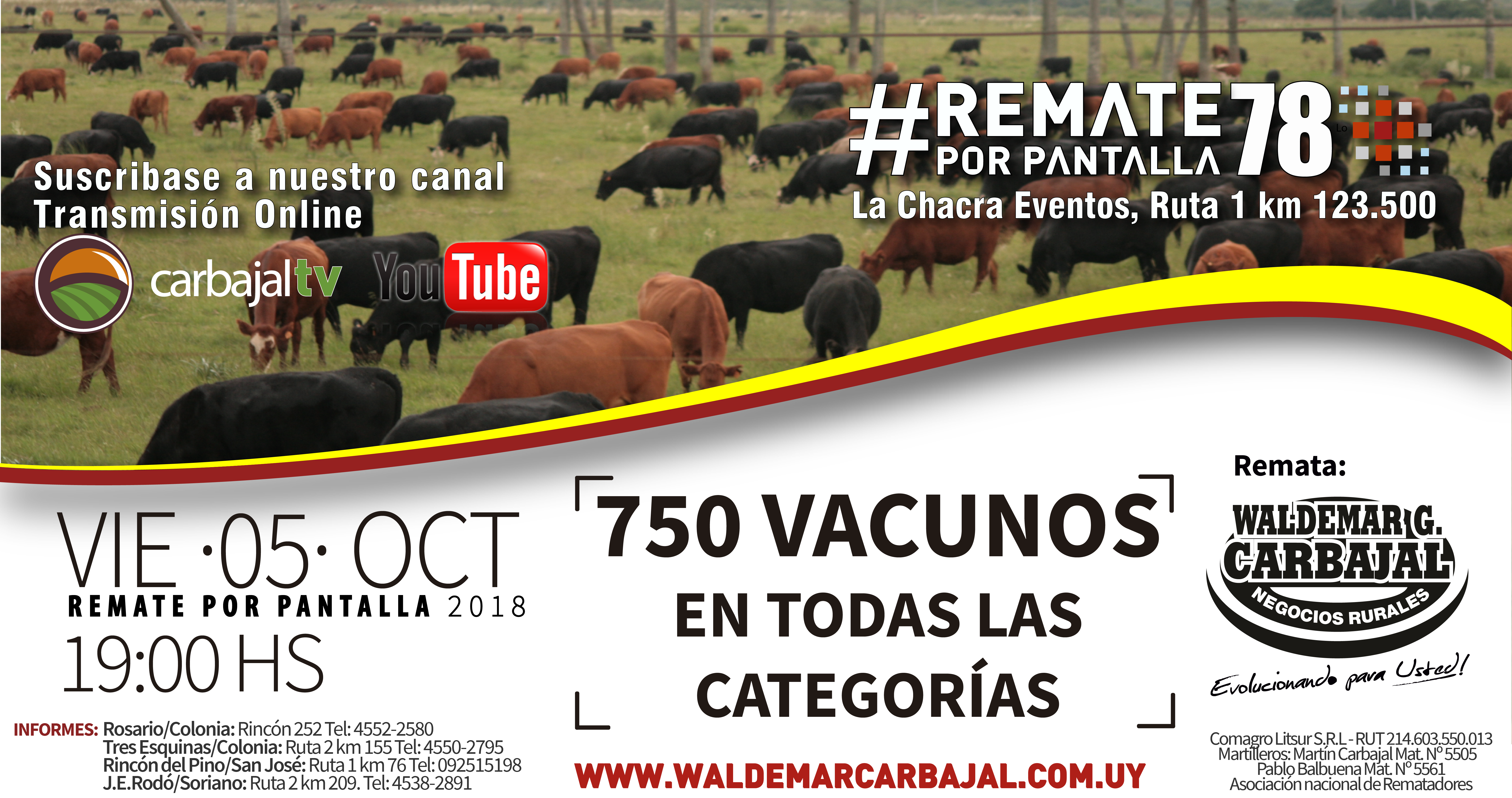 Afiche Remate por pantalla #78