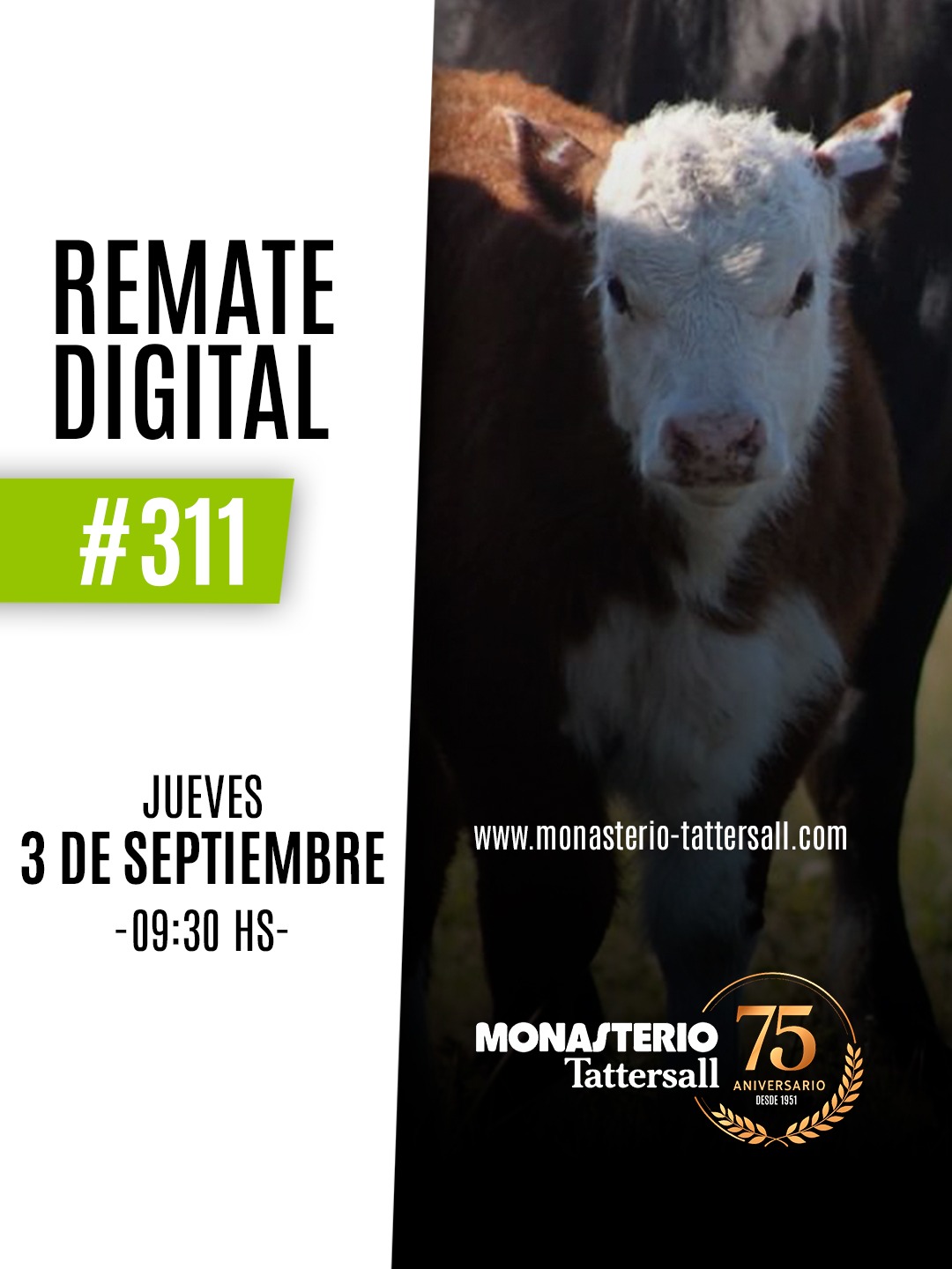 Afiche MT Digital 311°