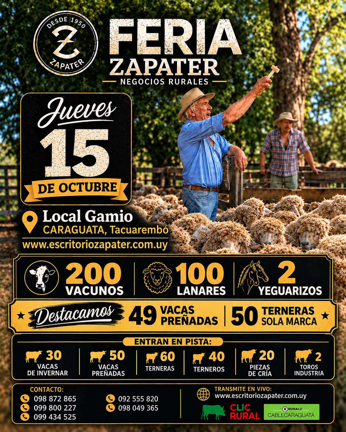 Afiche Feria mensual - Escritorio Zapater