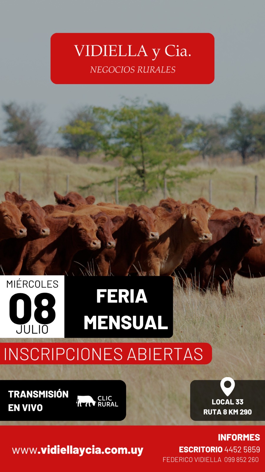 Remate Feria Mensual - Vidiella y Cia