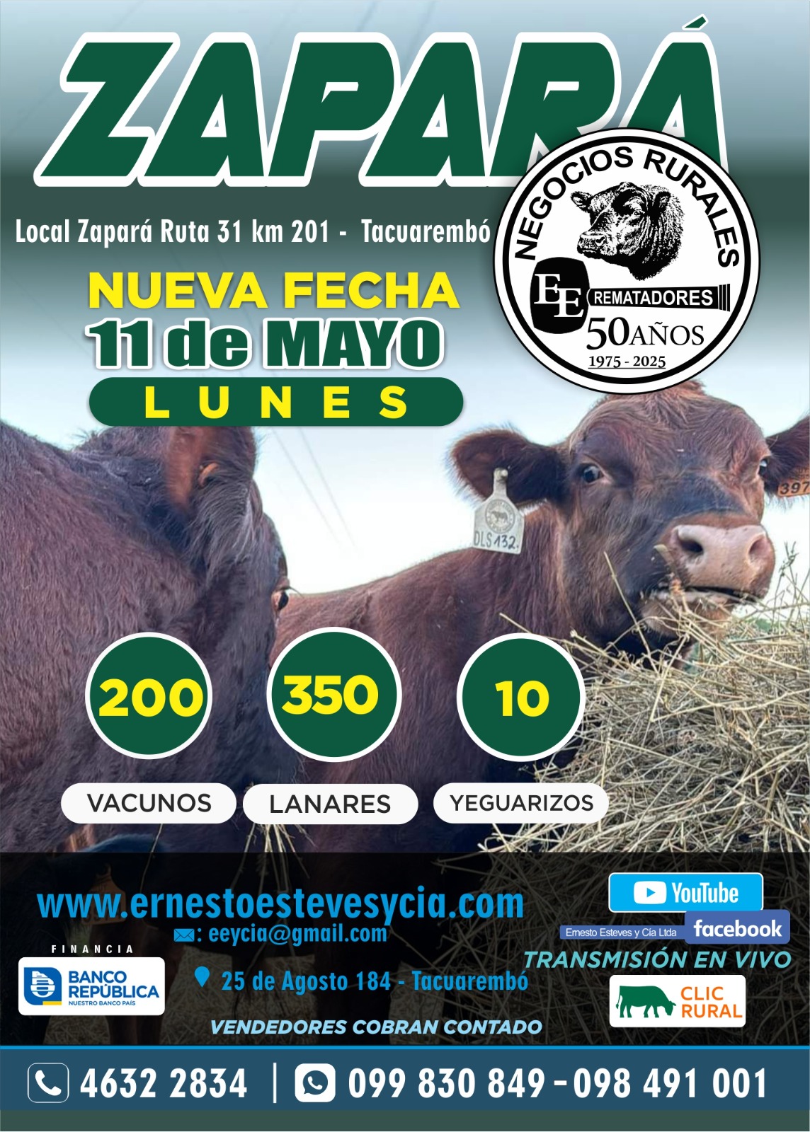 Afiche Feria Mensual - Zapara