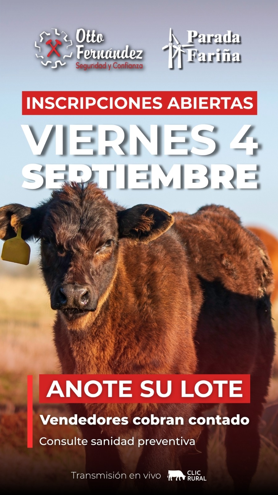 Afiche Feria mensual - Parada Fariña